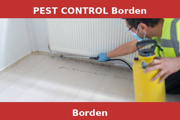 PEST CONTROL Borden